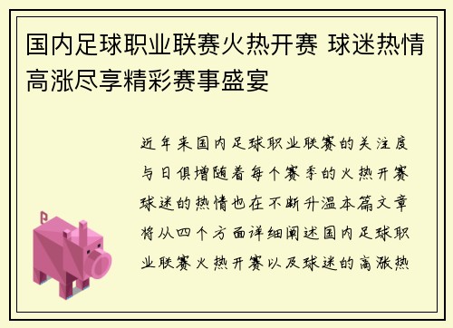 国内足球职业联赛火热开赛 球迷热情高涨尽享精彩赛事盛宴