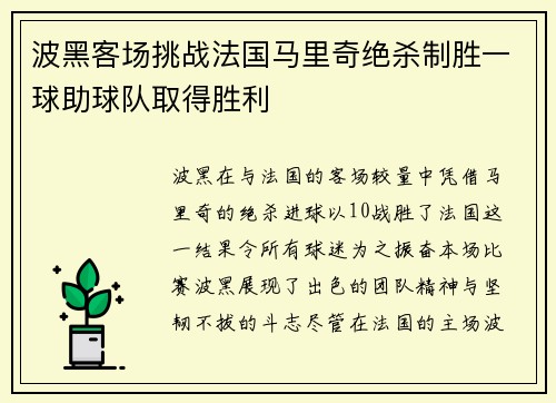 波黑客场挑战法国马里奇绝杀制胜一球助球队取得胜利