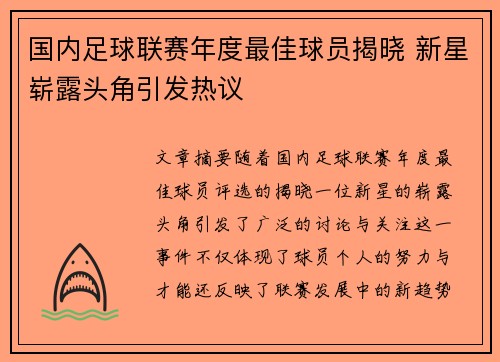 国内足球联赛年度最佳球员揭晓 新星崭露头角引发热议