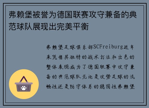 弗赖堡被誉为德国联赛攻守兼备的典范球队展现出完美平衡